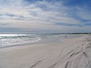 IMG_4425.jpg
