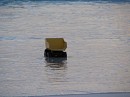IMG_4453.jpg
