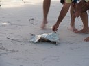 IMG_4464.jpg