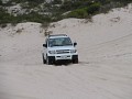 IMG_4251.jpg