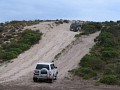 IMG_4271.jpg