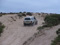 IMG_4273.jpg