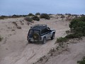 IMG_4274.jpg