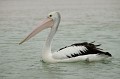 DSCF1811.JPG