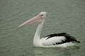 DSCF1815.JPG