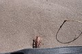 DSCF1991.JPG