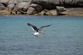 DSCF2021.JPG