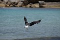 DSCF2022.JPG