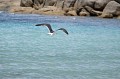DSCF2026.JPG