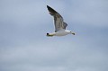 DSCF2051.JPG