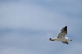 DSCF2055.JPG