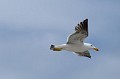 DSCF2083.JPG