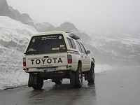 Skip takes Tonka into the snow...