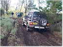 Nissan in reverse, oh dear!