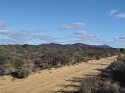 DSC03264.JPG