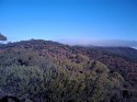 IMAGE_024.jpg