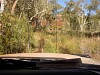 0119.jpg