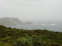 1020047.JPG