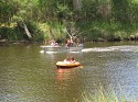 IMG_1585.jpg