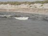 6010778.JPG