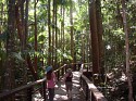 A060118.JPG