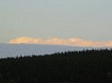 8347.JPG