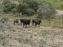 I_0606.jpg