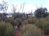 R0084.JPG